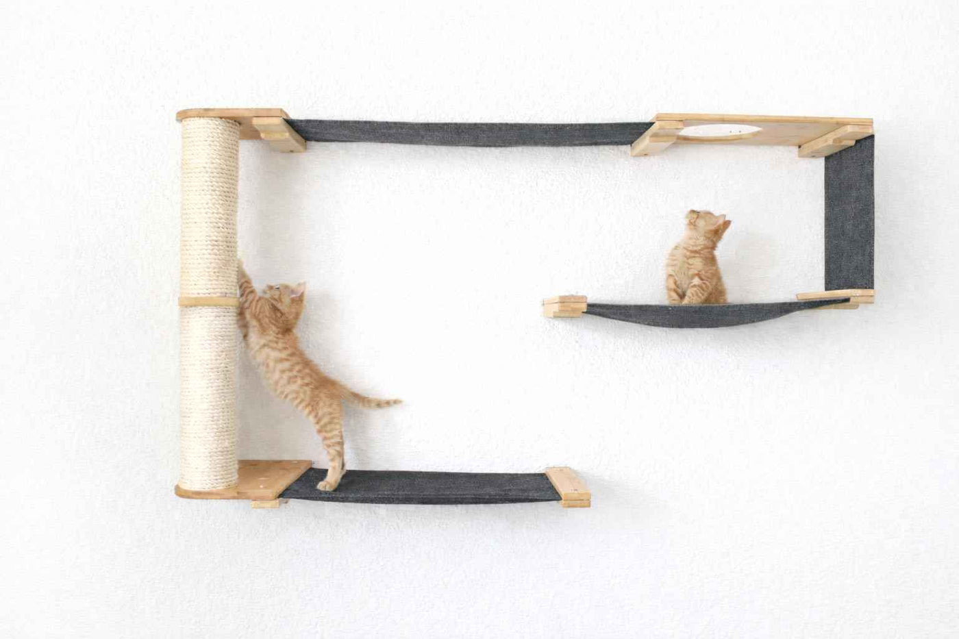 Cat Wall Maze