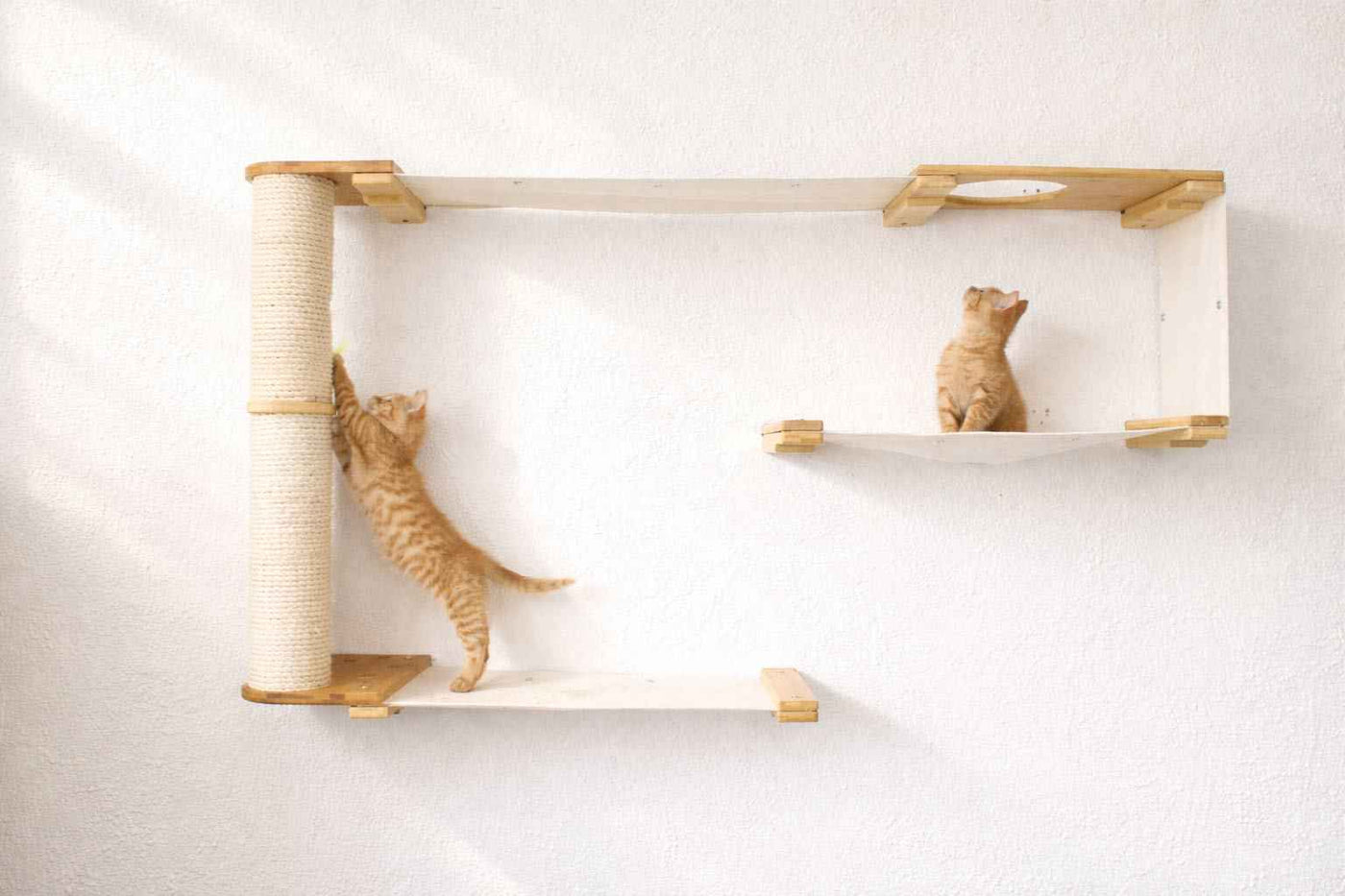 Cat Wall Maze