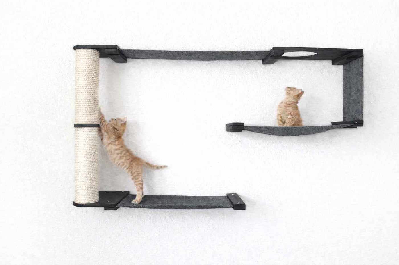 Cat Wall Maze