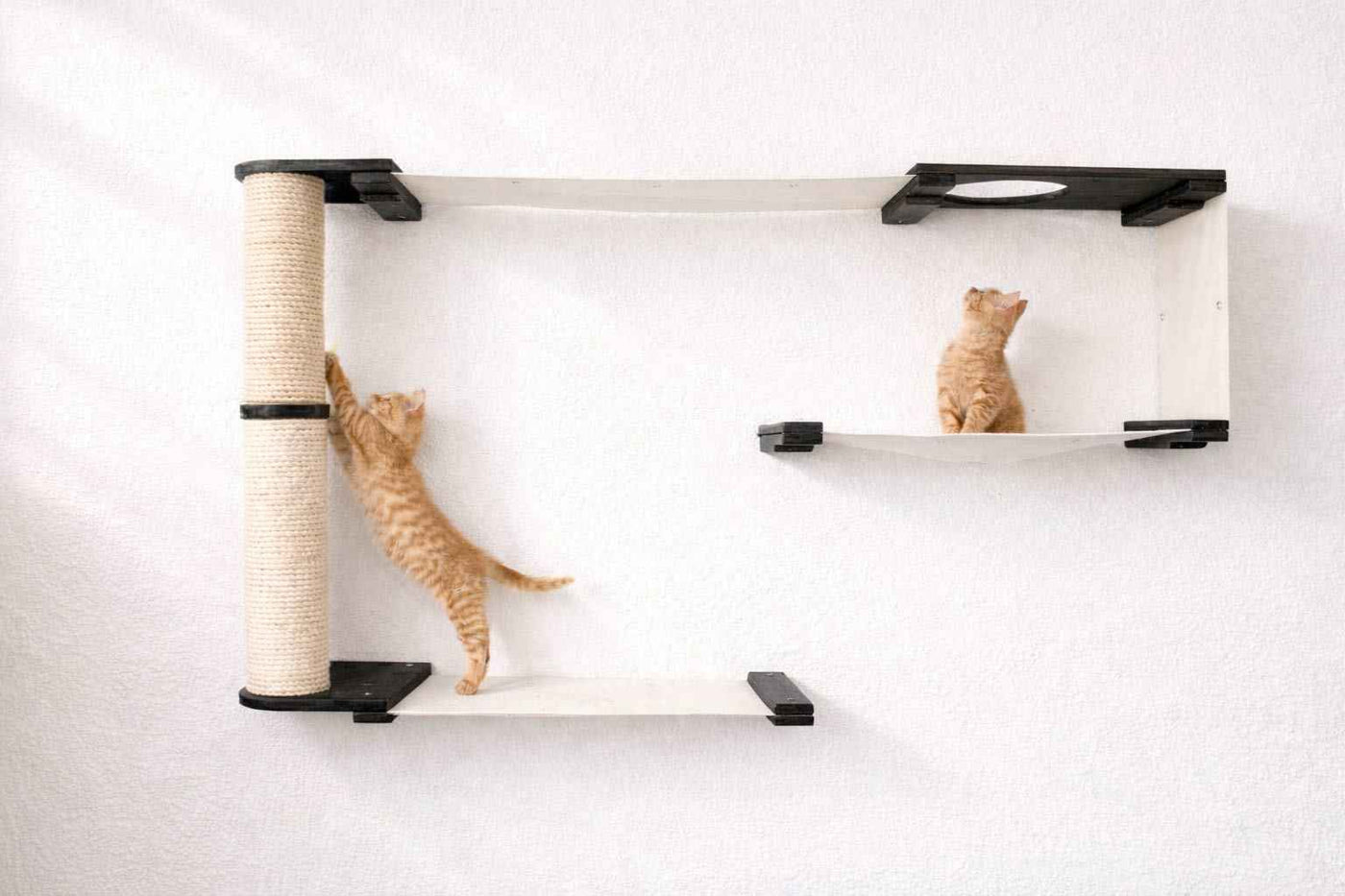 Cat Wall Maze