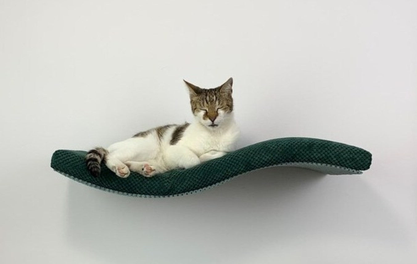 Wave Cat Wall Shelf, 75 cm Unsymmetrical Left by Cat's Atelier, view 6