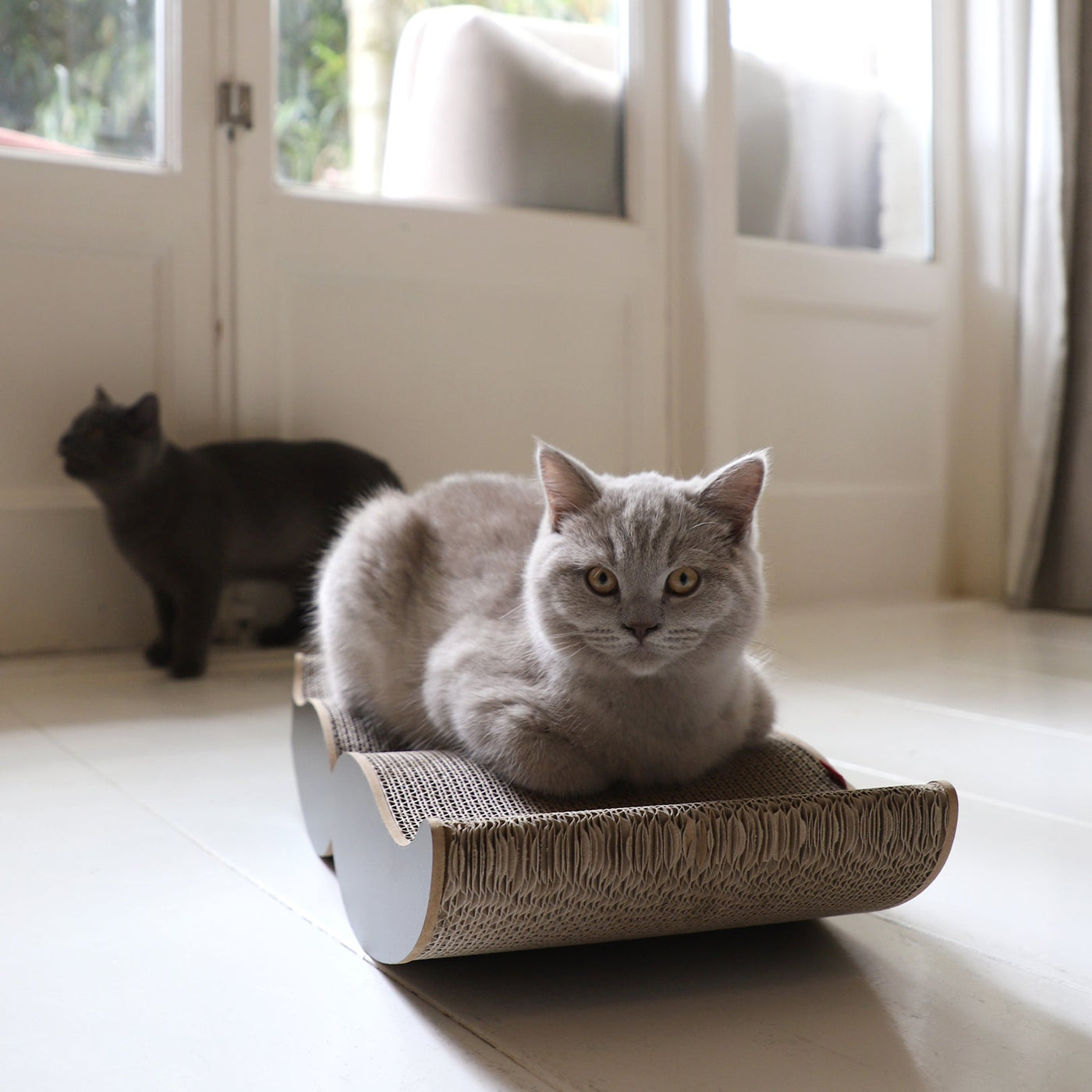 Moustache Scratcher