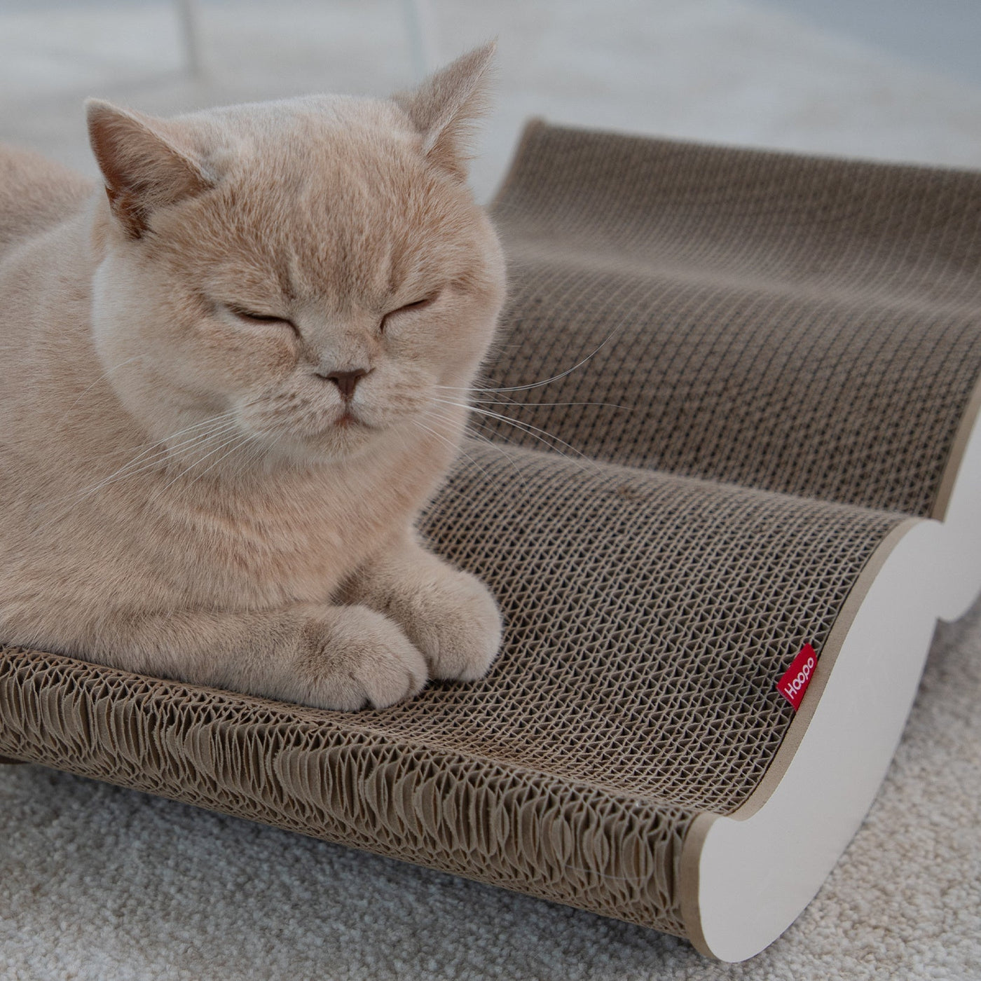 Moustache Scratcher