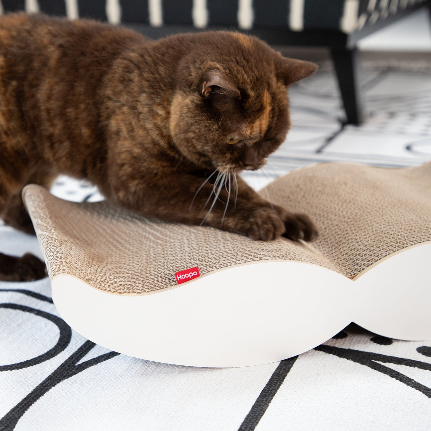 Moustache Scratcher