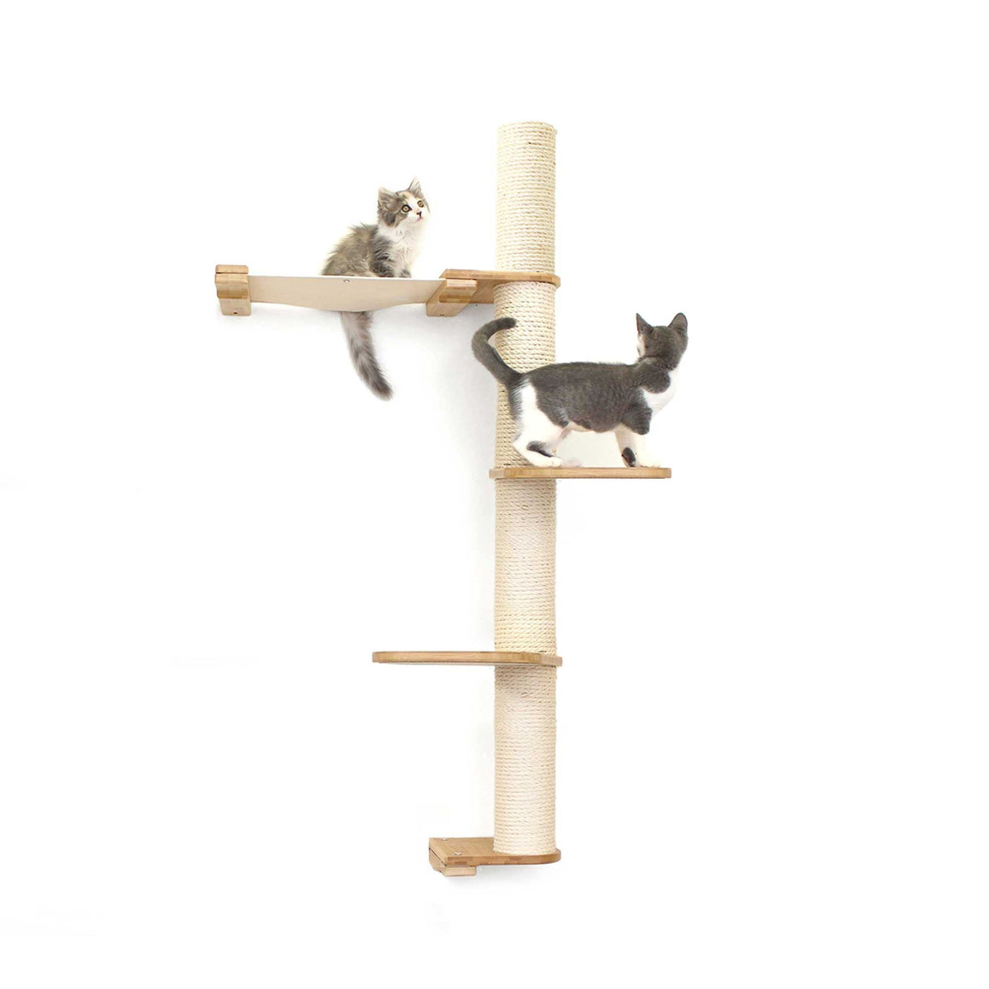 Tall wall mounted cat scratcher tree with a sisal pole installed high near the ceiling