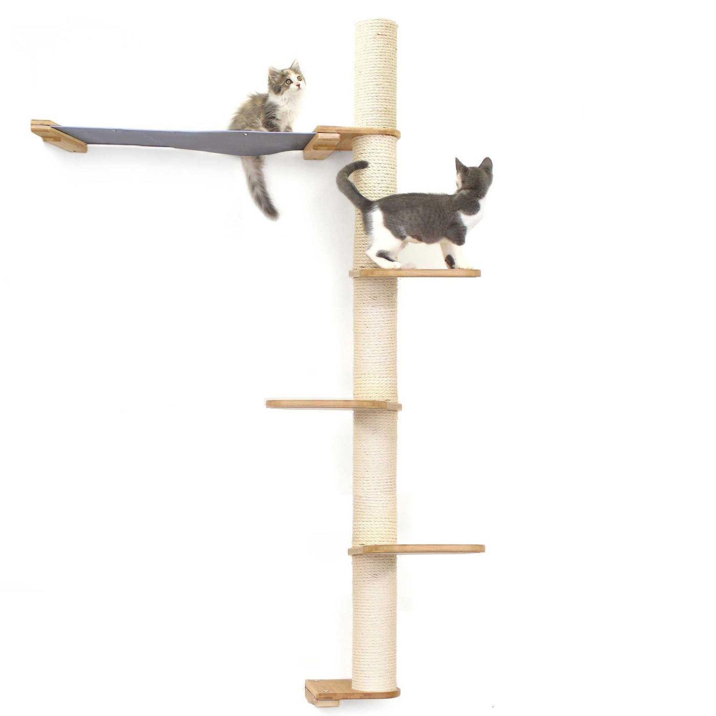 Tall wall mounted cat scratcher tree with a sisal pole installed high near the ceiling