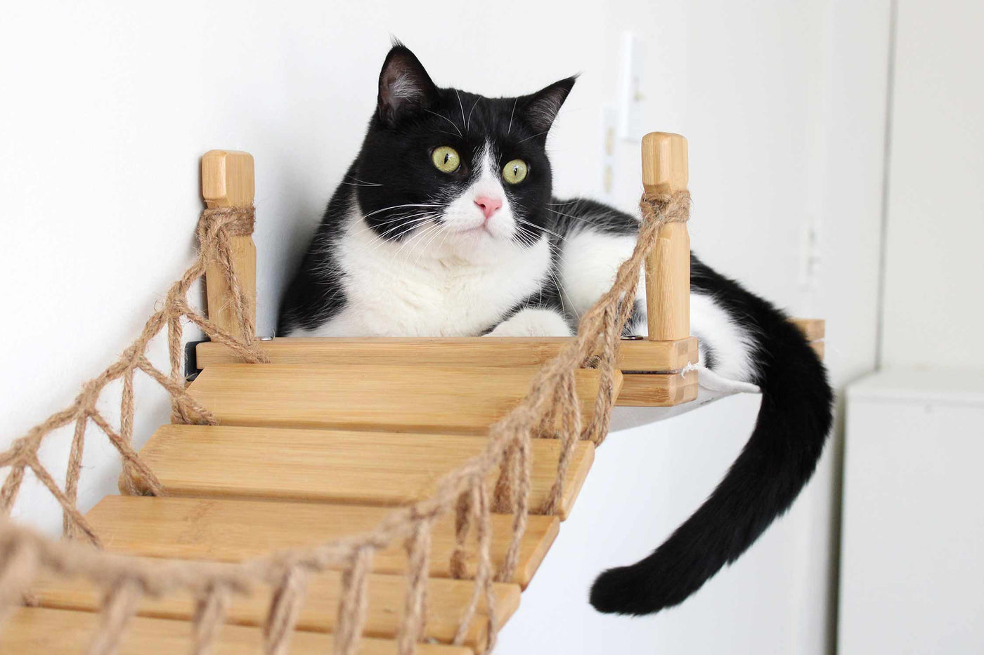 Wall mounted cat bridge with a canvas hammock at each end above a doorway