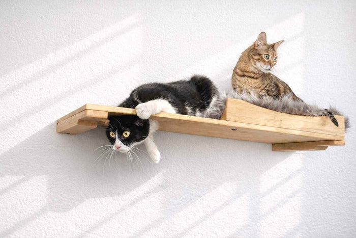 Wall-mounted bamboo cat bed with a curved front ledge and faux fur pad