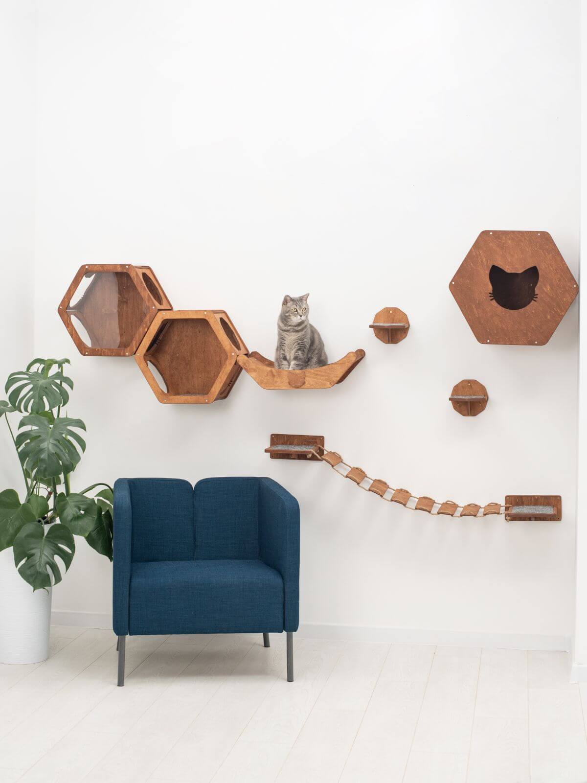 Small Cat House
