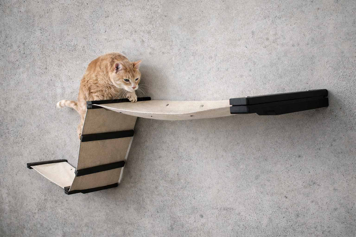 Wall mounted cat raceway with two canvas hammocks connected by a diagonal fabric ramp and ladder