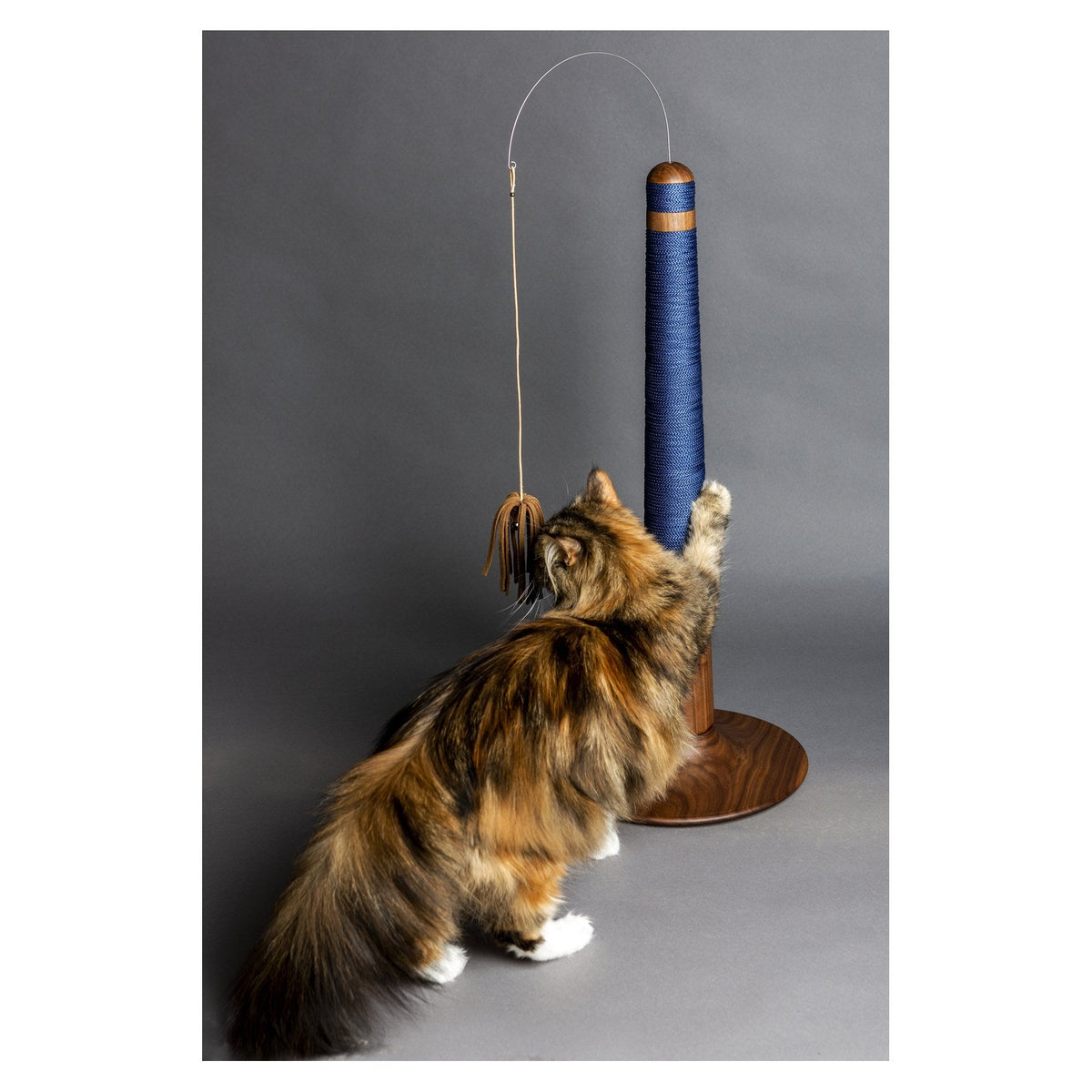 Pharos Cat Scratcher by Brando, view 4