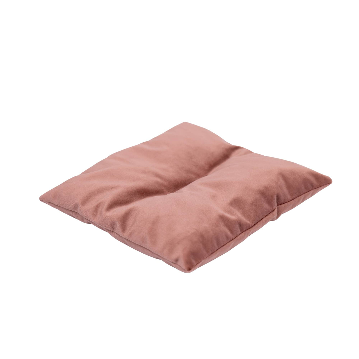 Cat Cushion Pillow