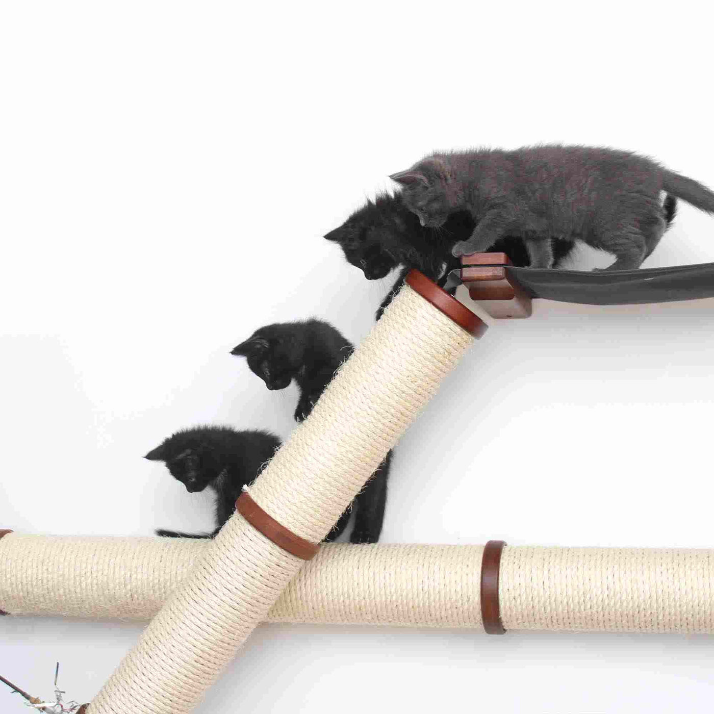 Wall mounted cat scratcher condo with angled and horizontal sisal poles and a plush faux fur nest shelf