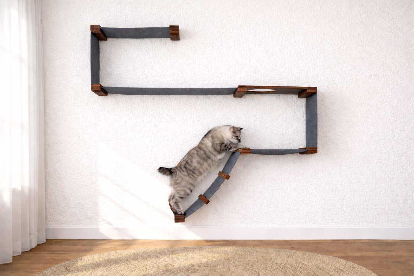 Wall mounted starter cat condo with a ladder, escape hatch, and two canvas hammocks