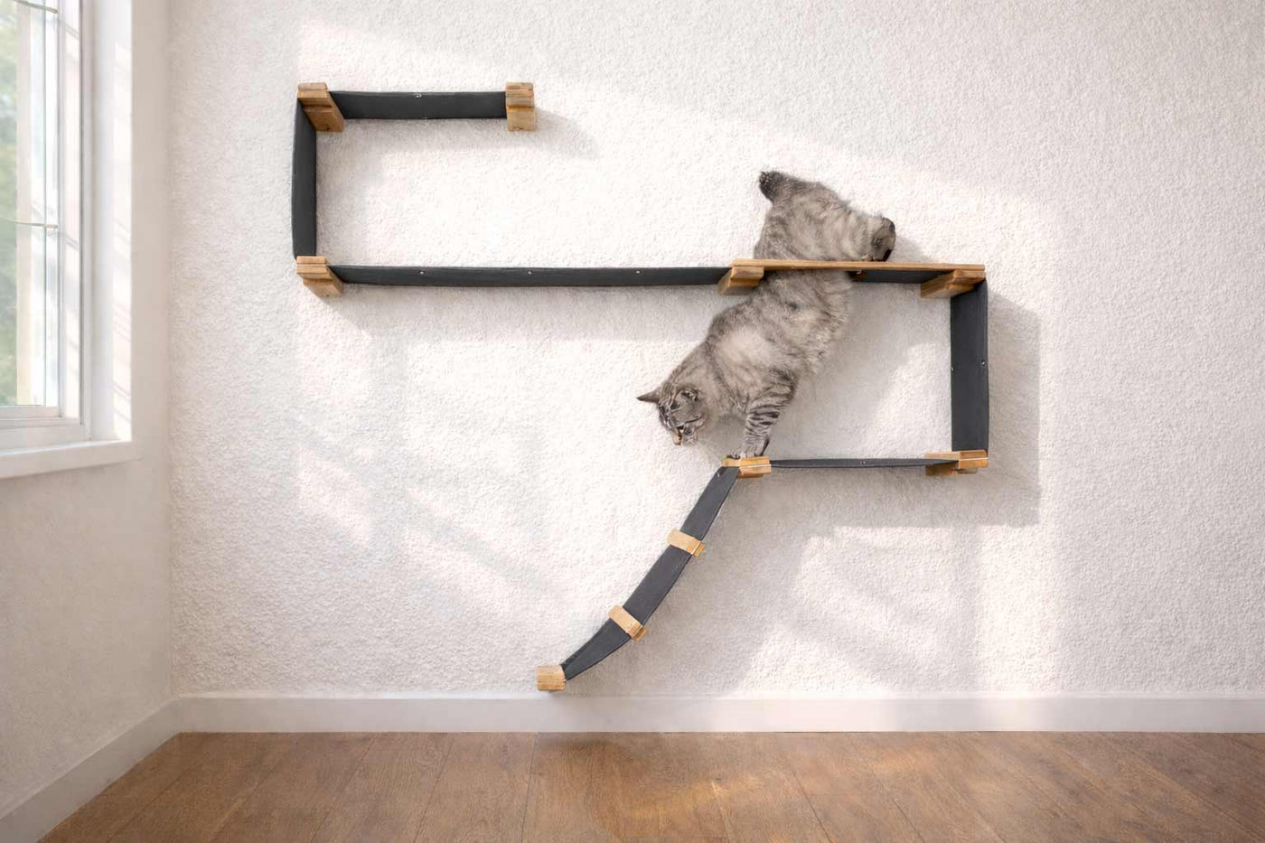 Wall mounted starter cat condo with a ladder, escape hatch, and two canvas hammocks