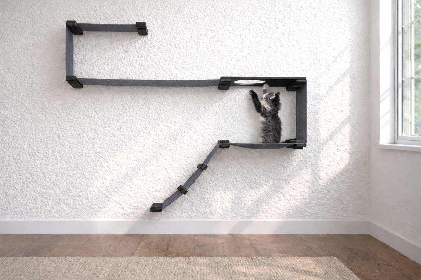 Wall mounted starter cat condo with a ladder, escape hatch, and two canvas hammocks