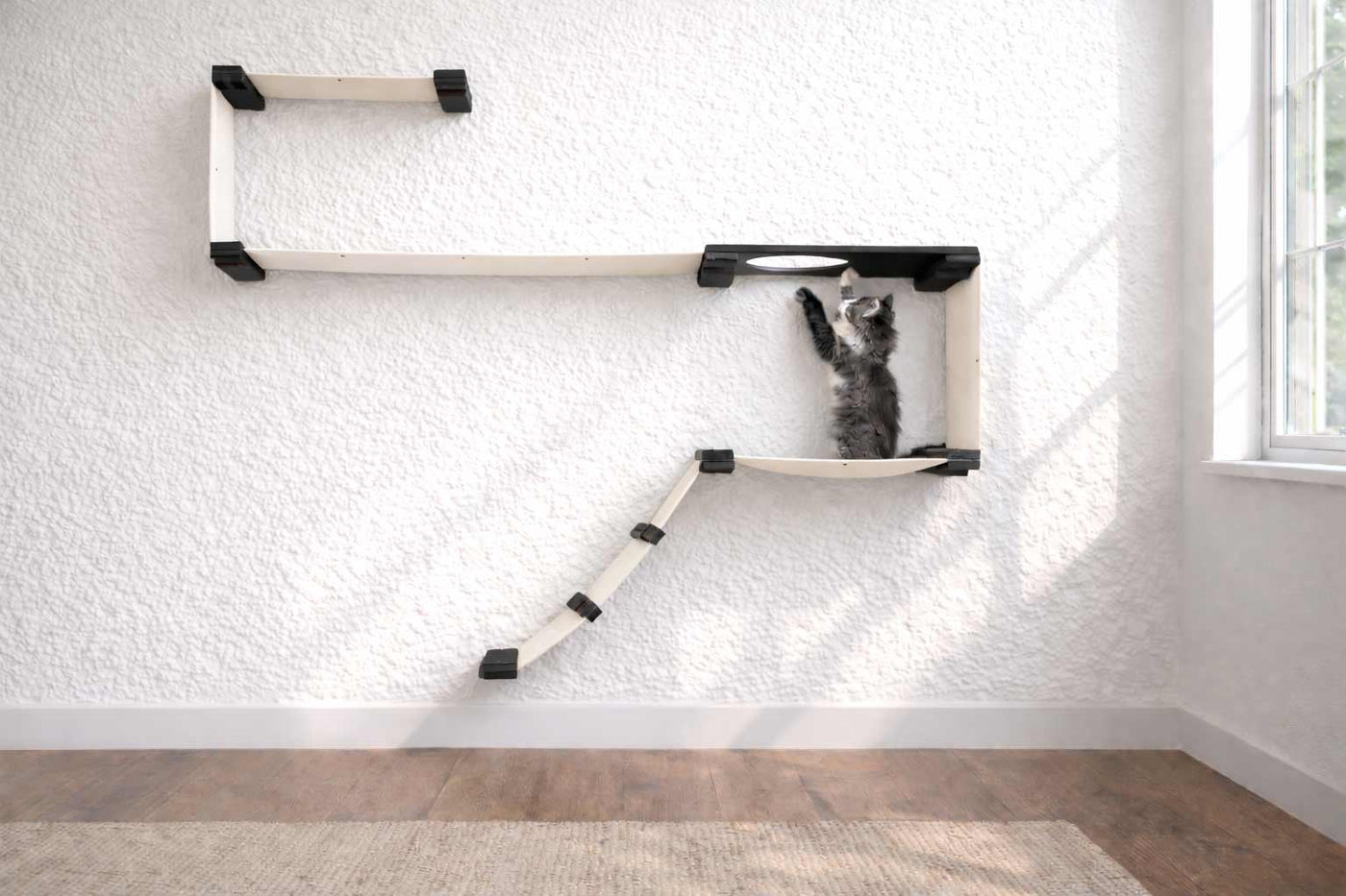 Wall mounted starter cat condo with a ladder, escape hatch, and two canvas hammocks