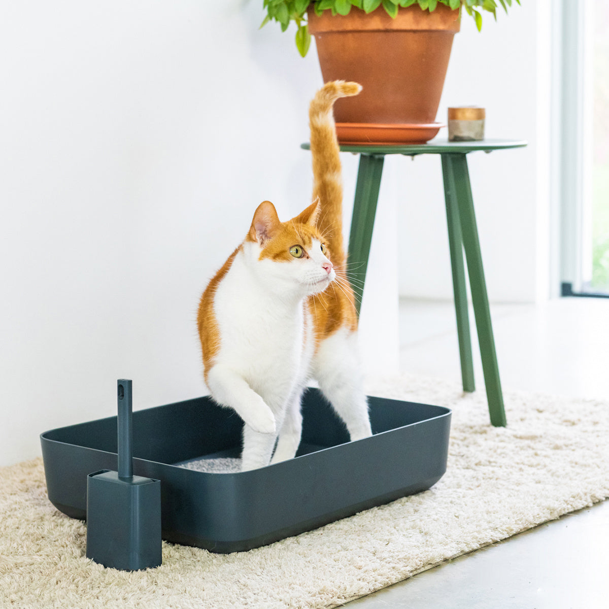 Poh Open Litter Box