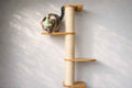 Wall Mounted Cat Climbing Pole