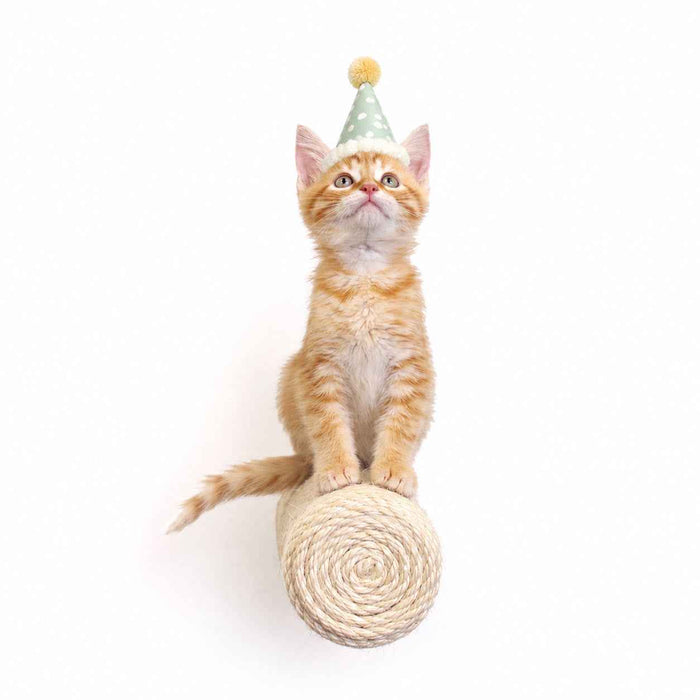 Floating Cat Step