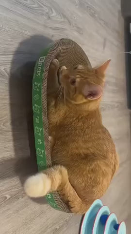 Oval Cat Scratcher Bed shown in use