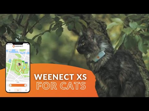 Weenect XS cat GPS tracker product video