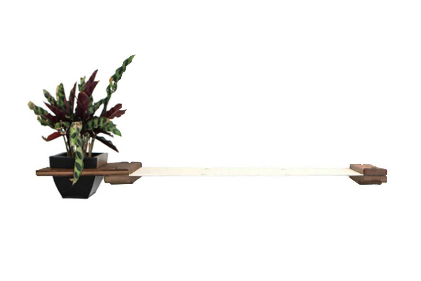 Wall mounted canvas cat hammock with an attached planter box holding cat grass