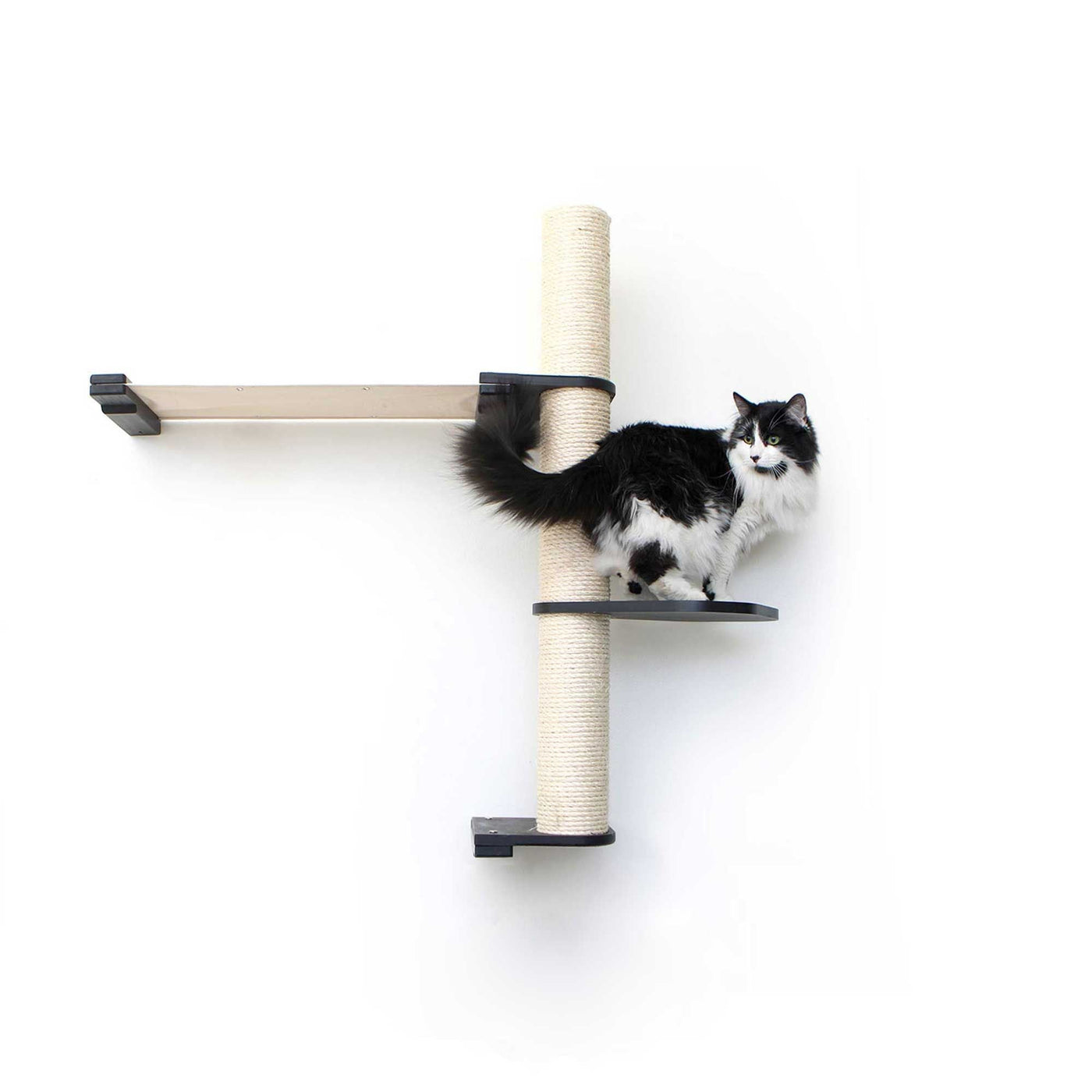 Tall wall mounted cat scratcher tree with a sisal pole installed high near the ceiling