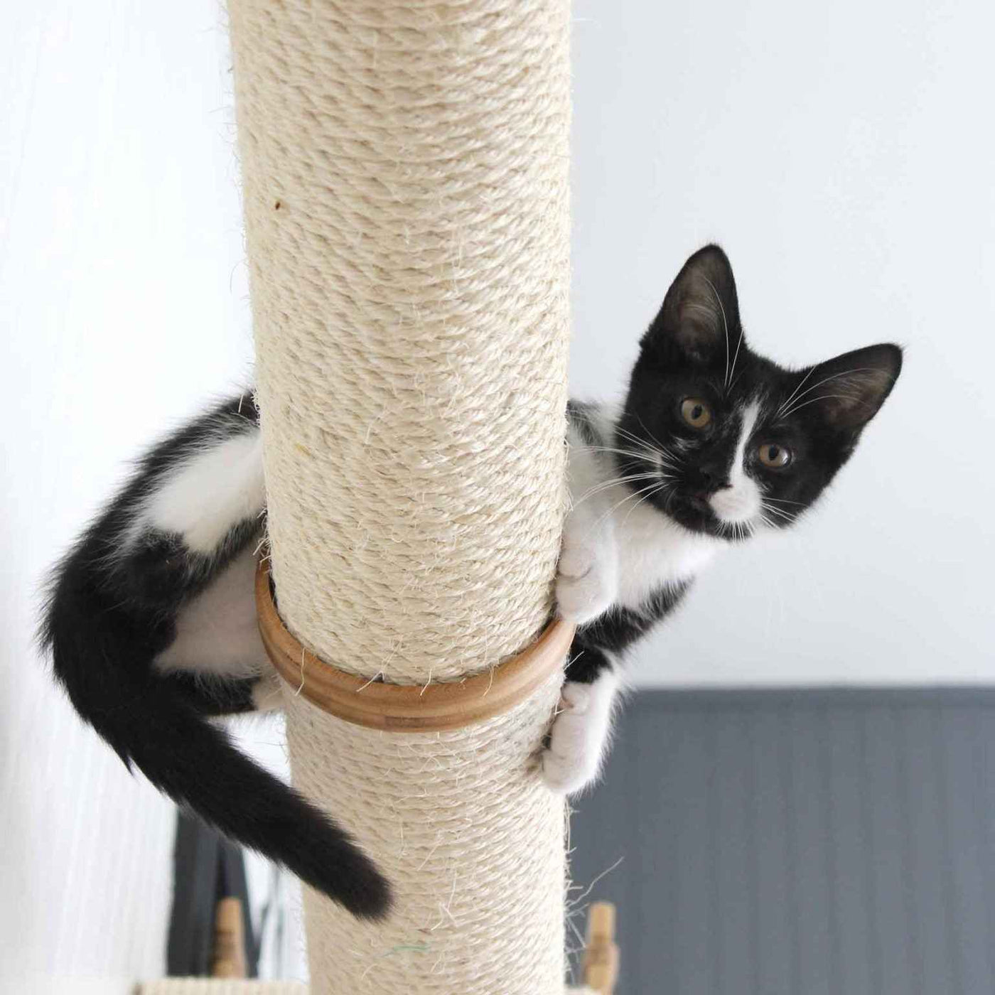 Horizontal Scratching Post