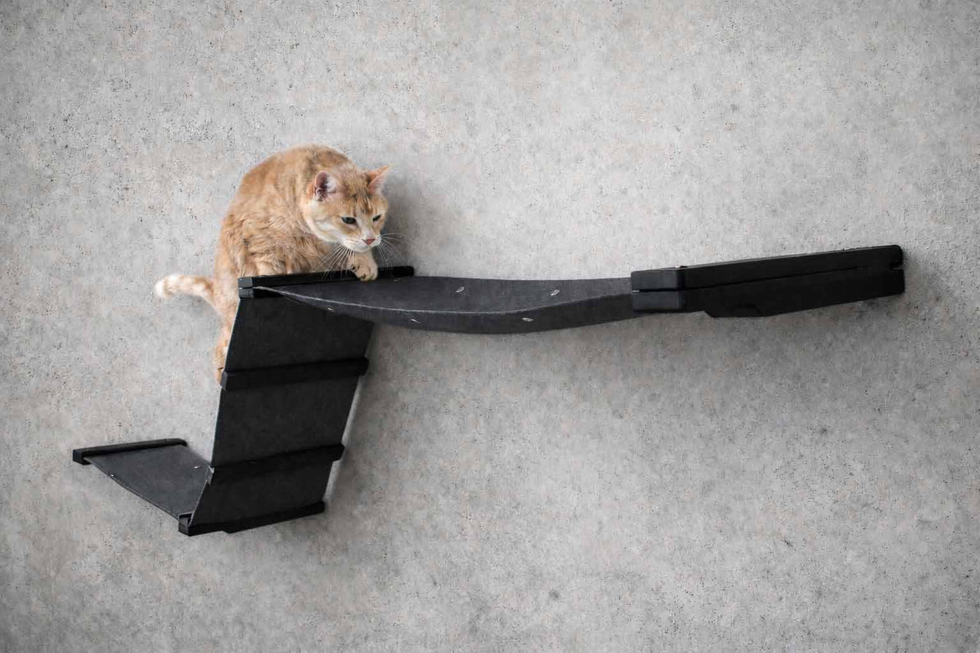 Wall mounted cat raceway with two canvas hammocks connected by a diagonal fabric ramp and ladder