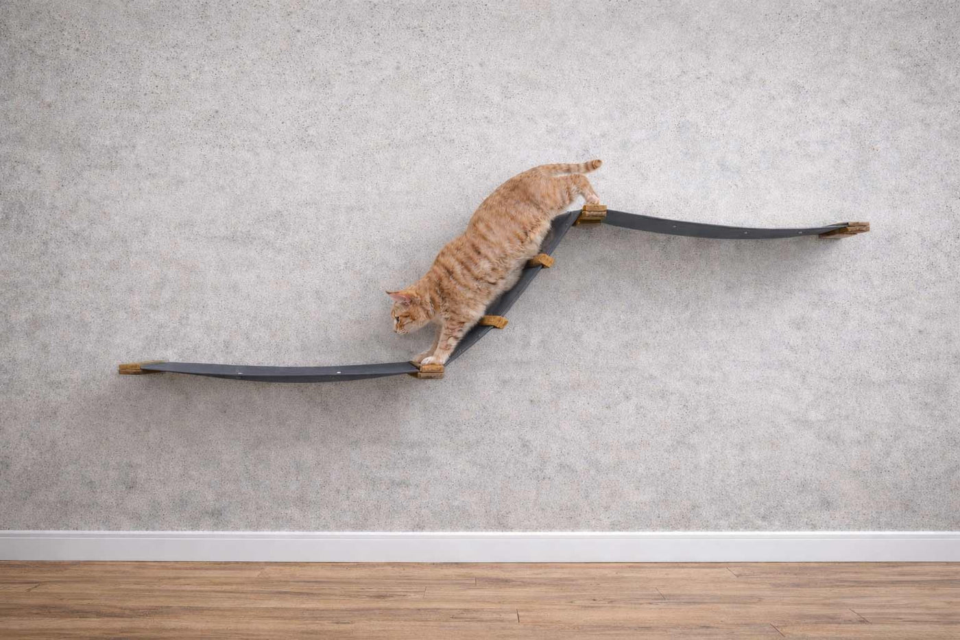 Wall mounted cat raceway with two canvas hammocks connected by a diagonal fabric ramp and ladder