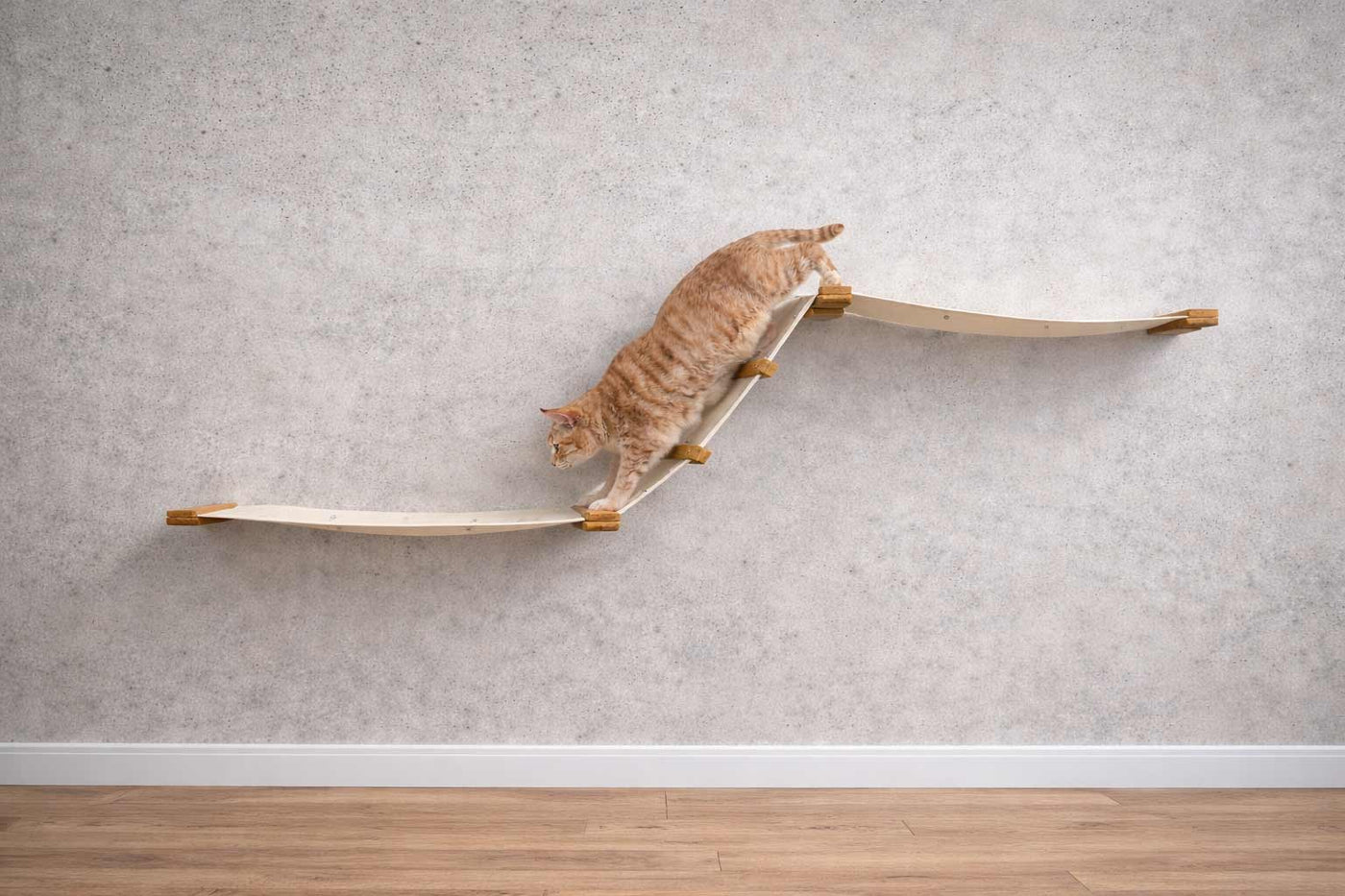 Wall mounted cat raceway with two canvas hammocks connected by a diagonal fabric ramp and ladder