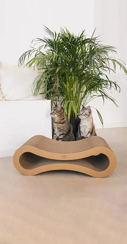 Olas del Mar Cat Scratcher, view 5