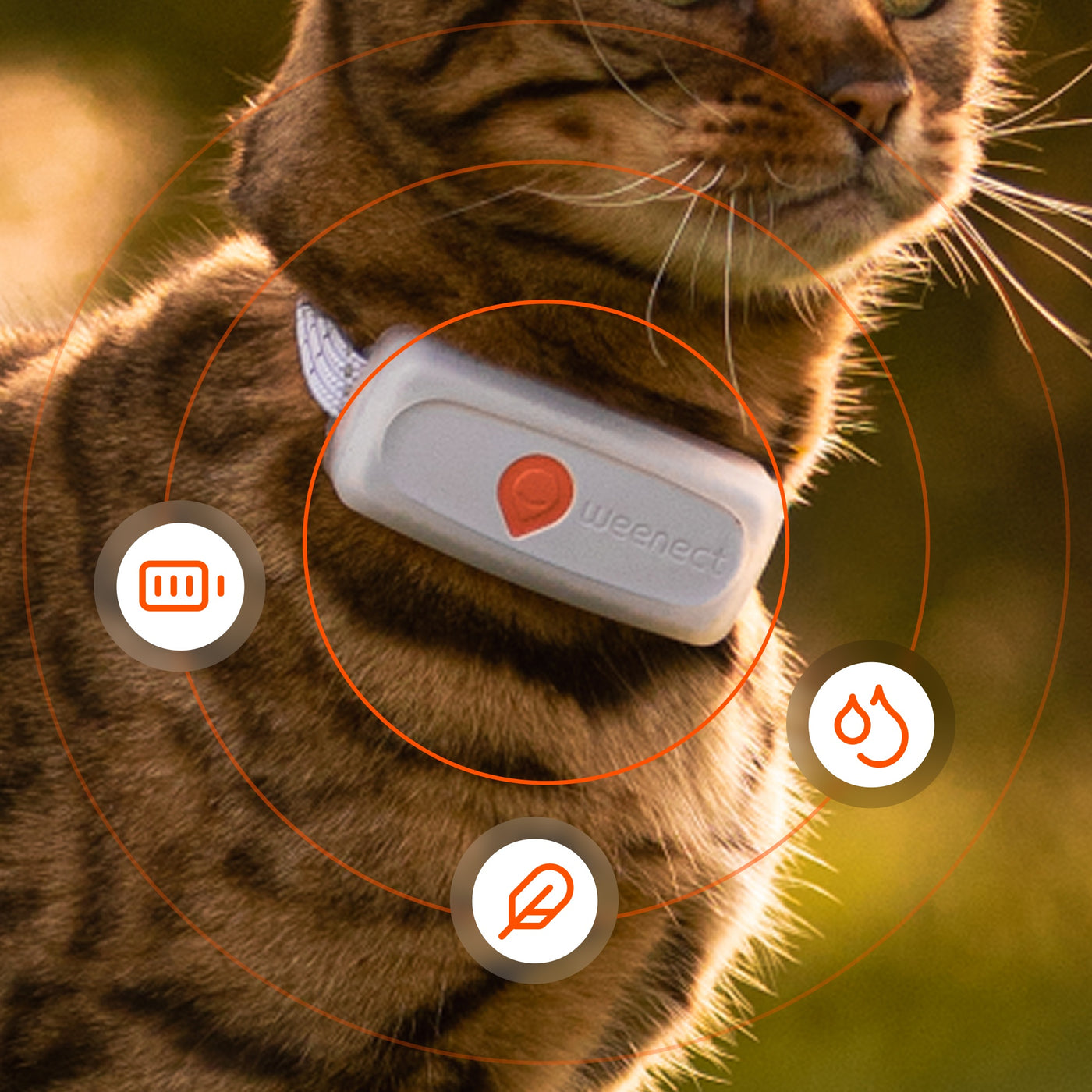 Weenect XS battery life and waterproof, lightweight design