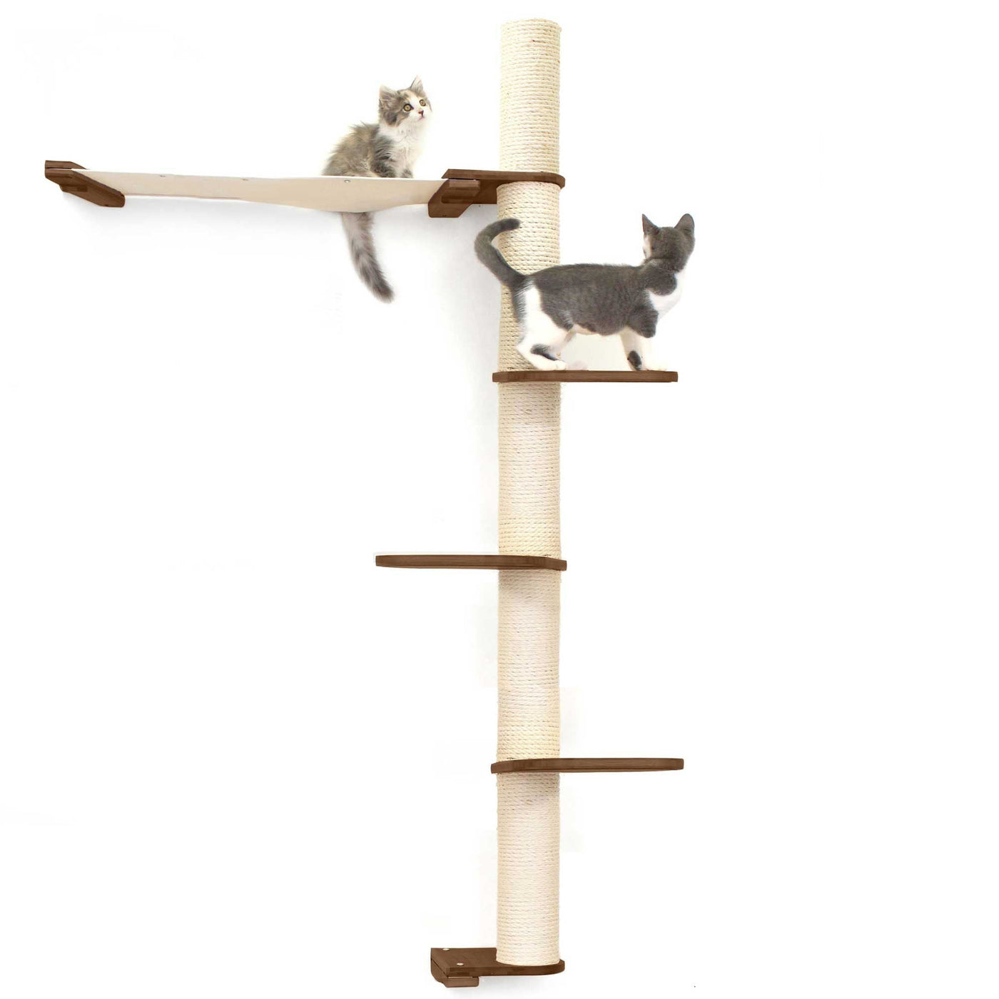 Tall wall mounted cat scratcher tree with a sisal pole installed high near the ceiling
