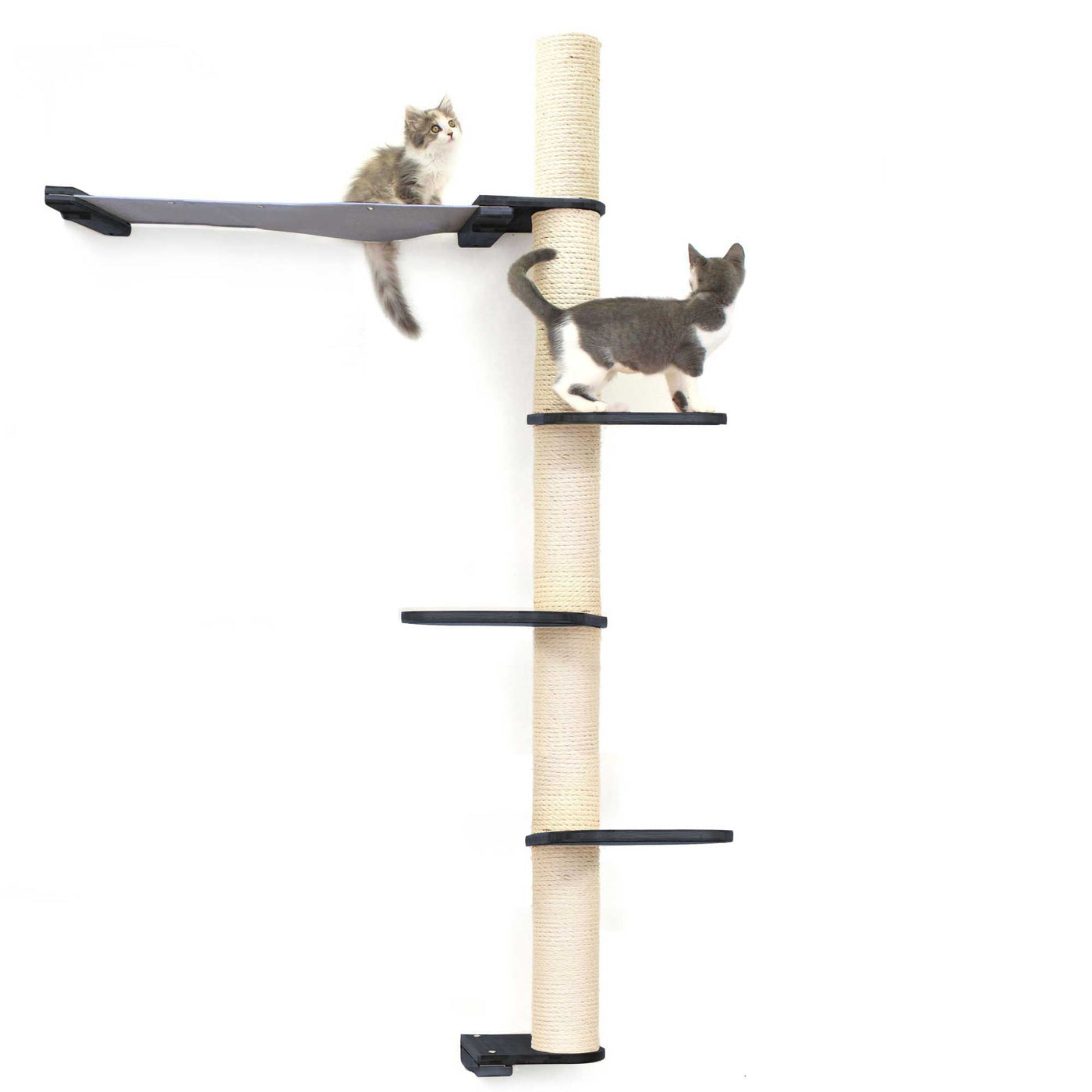 Tall wall mounted cat scratcher tree with a sisal pole installed high near the ceiling
