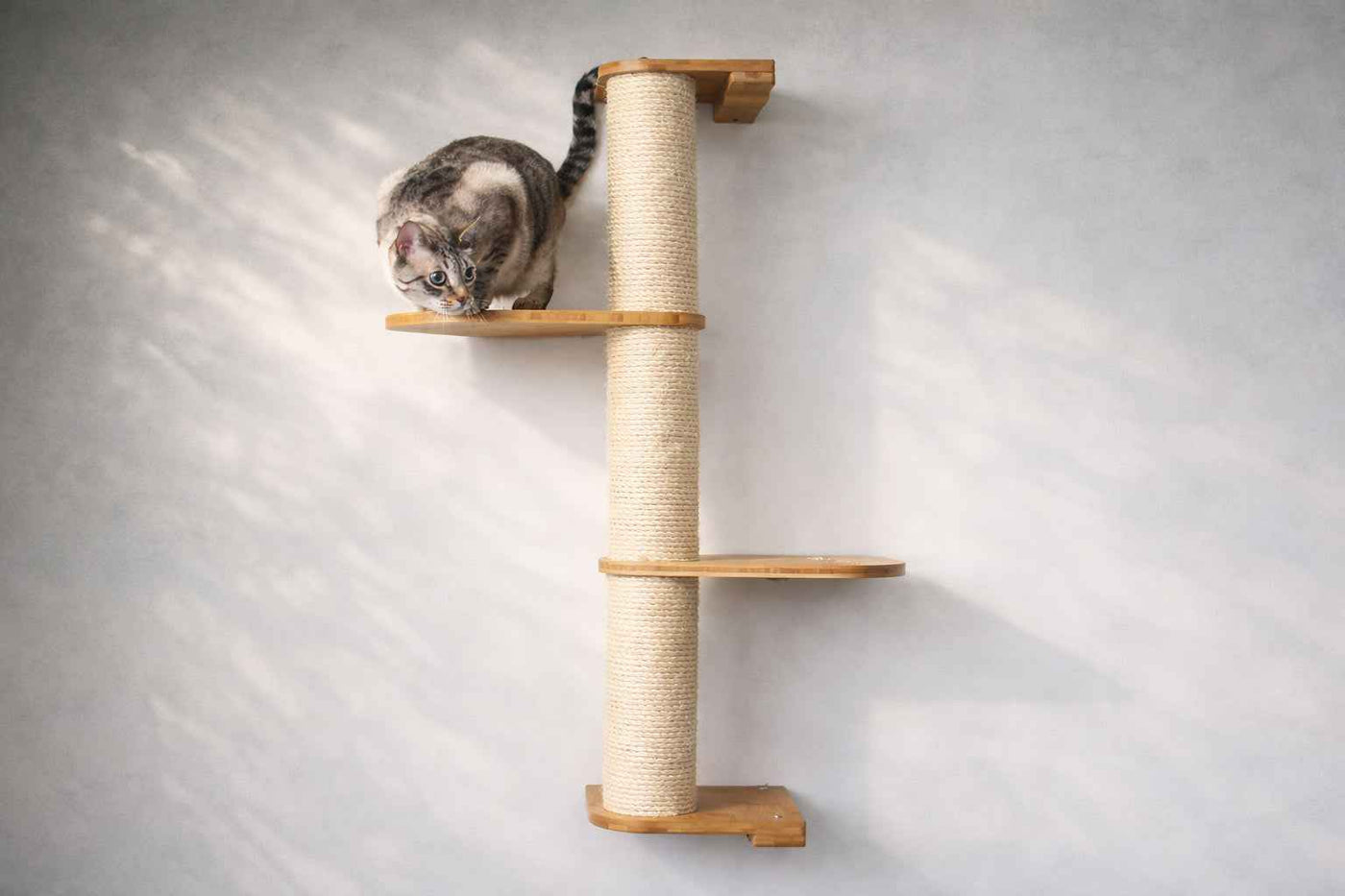 Wall Mounted Cat Climbing Pole