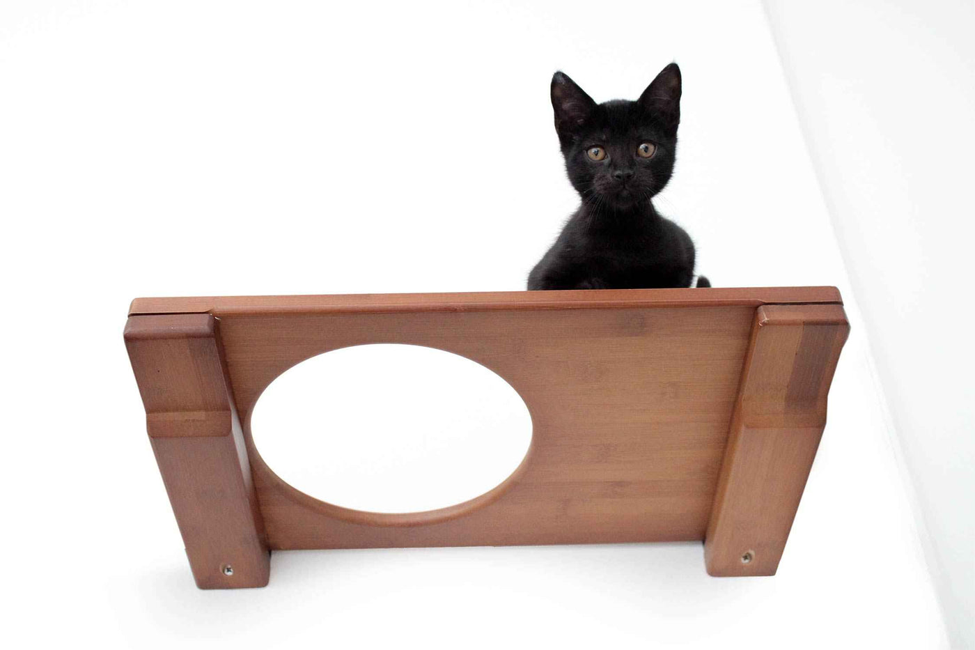 Wall-Mounted Cat Shelf