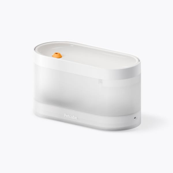 Petcube Fountain