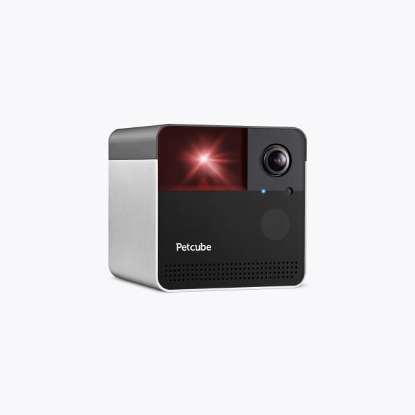 Petcube Play 2