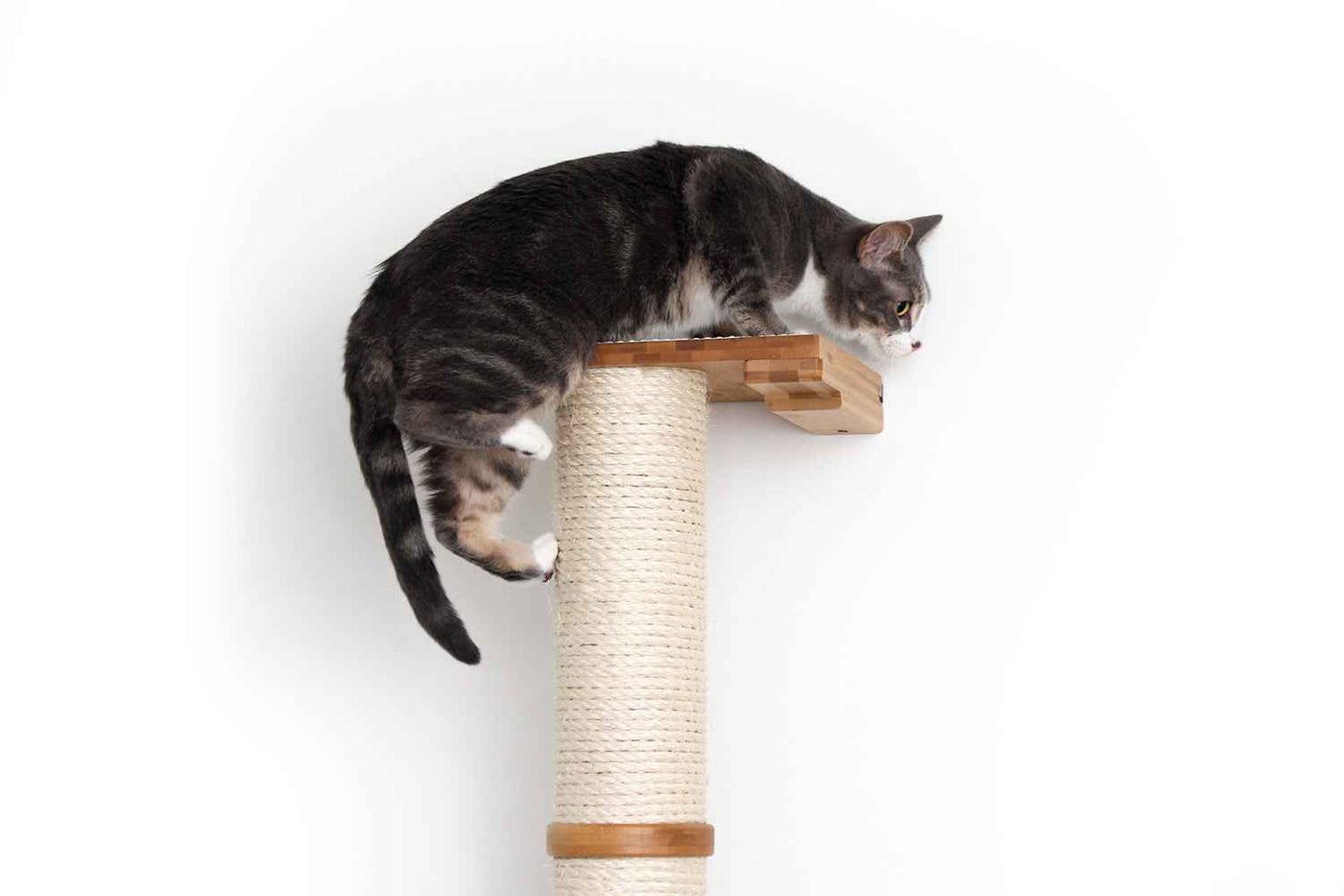 Wall Mounted Cat Climbing Pole