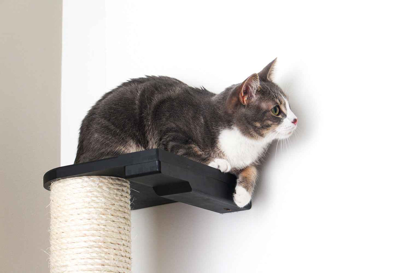 Wall Mounted Cat Climbing Pole