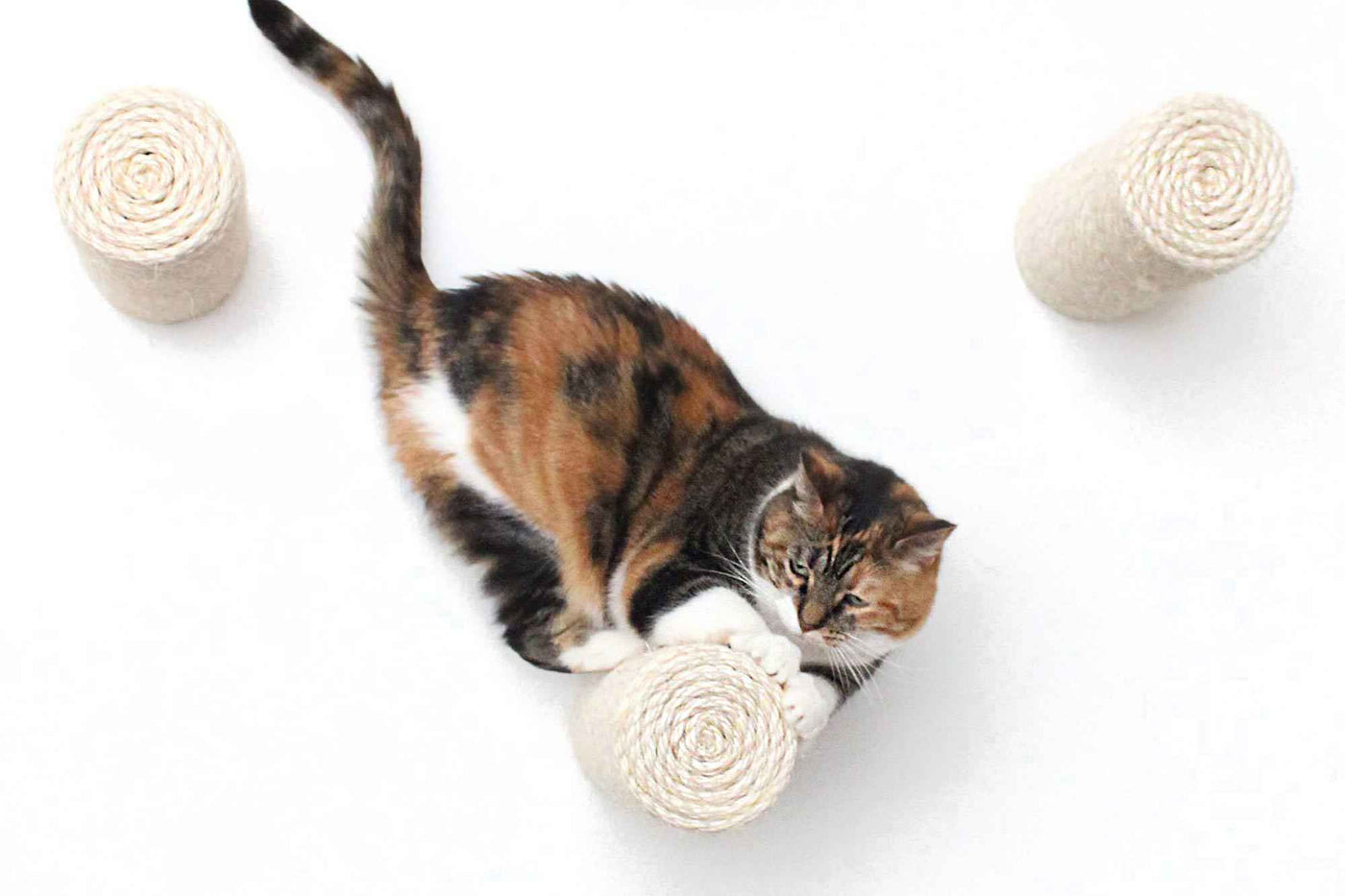 Floating Cat Step