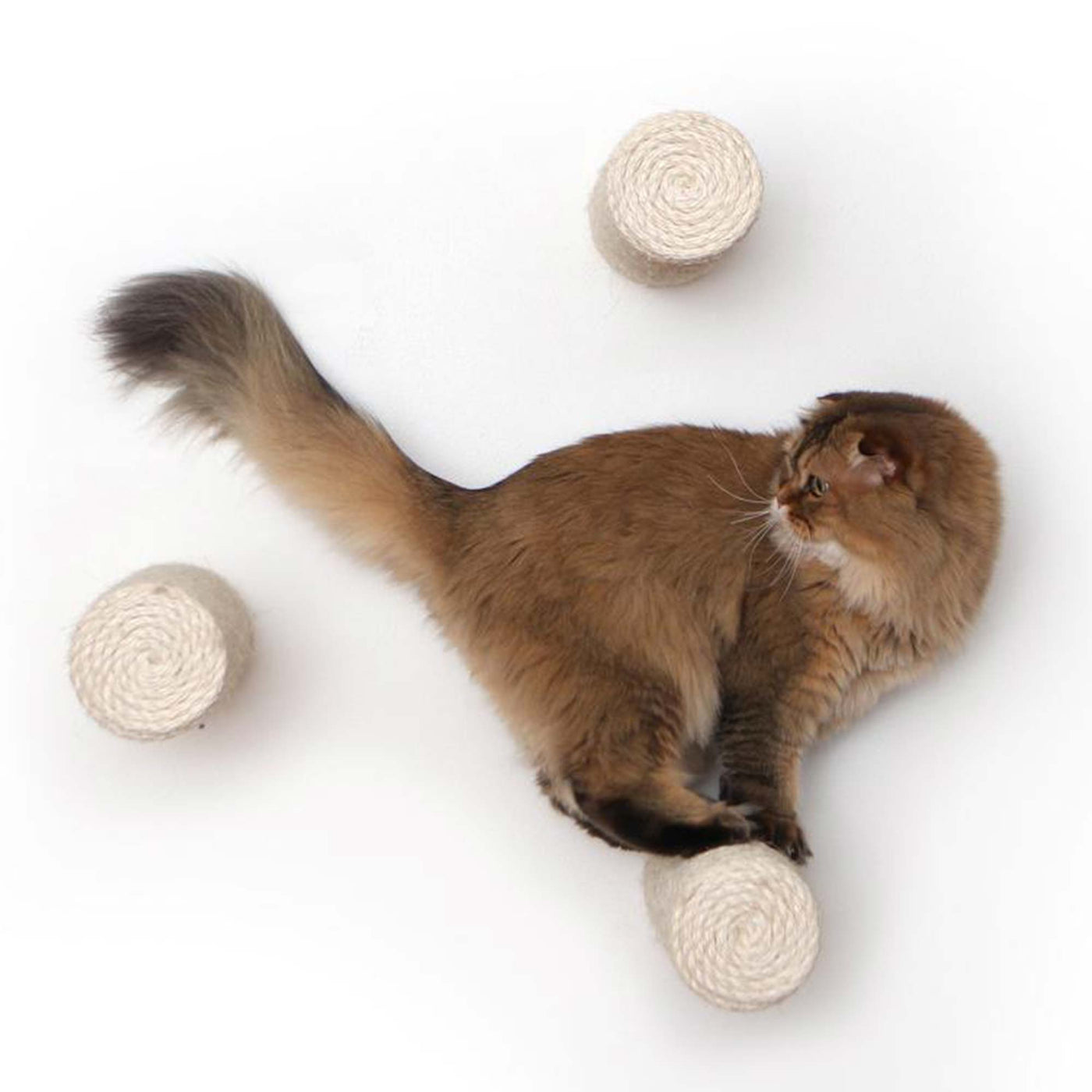 Wall mounted floating sisal cat step scratcher held by a slim steel bracket