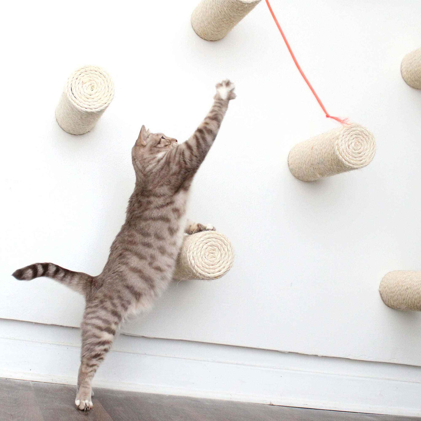 Floating Cat Step