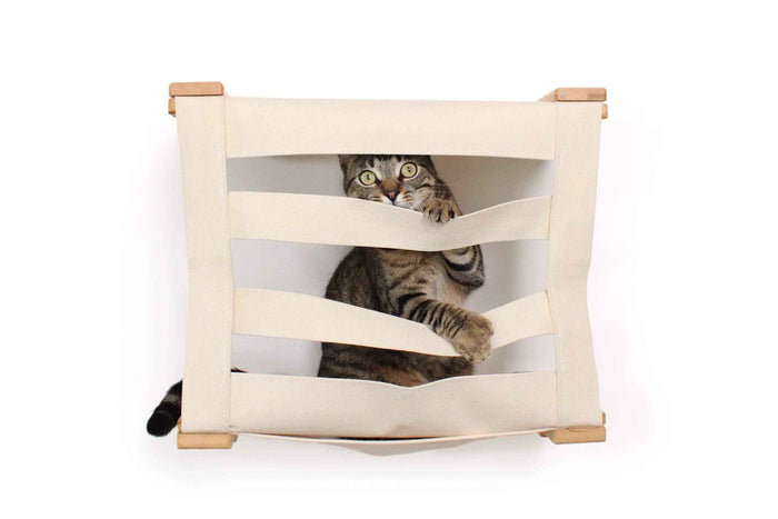 Enclosed Cat Bed