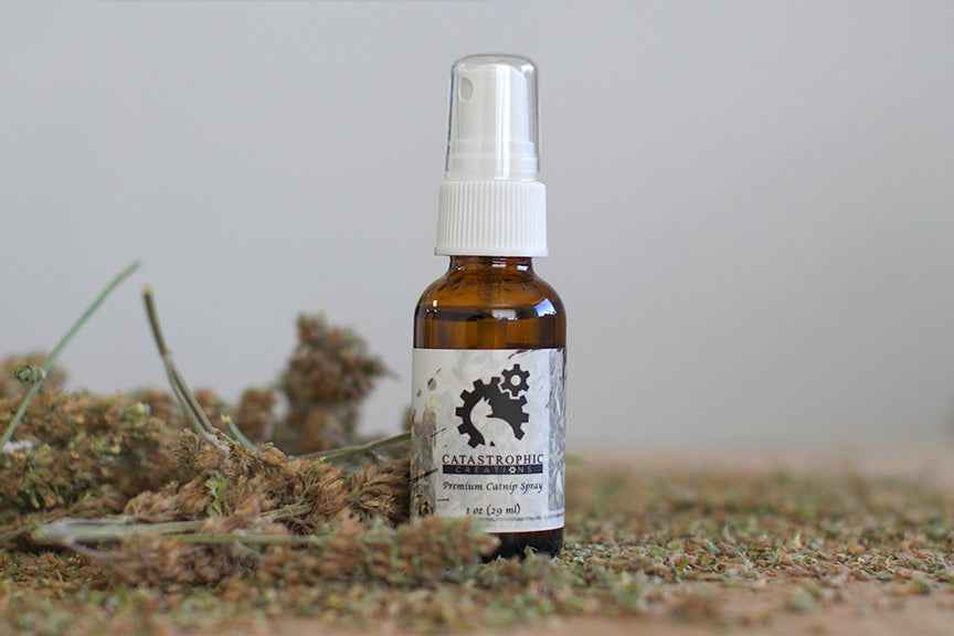 Official Catastrophic Creations catnip spray bottle for cat toys and furniture