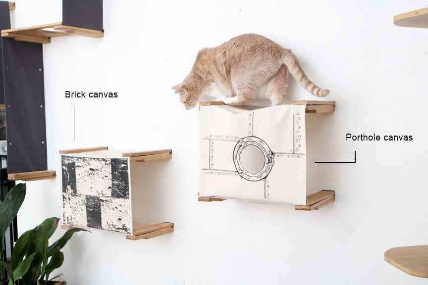 Enclosed Cat Bed