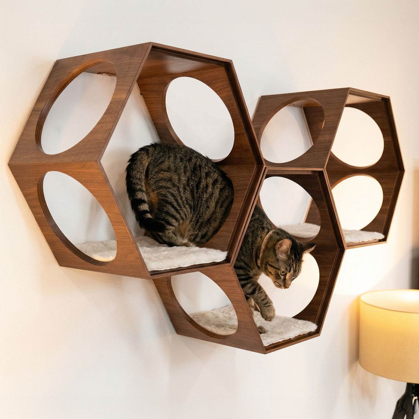 Suki Cat House Stool by 4Cats & Dogs, view 6