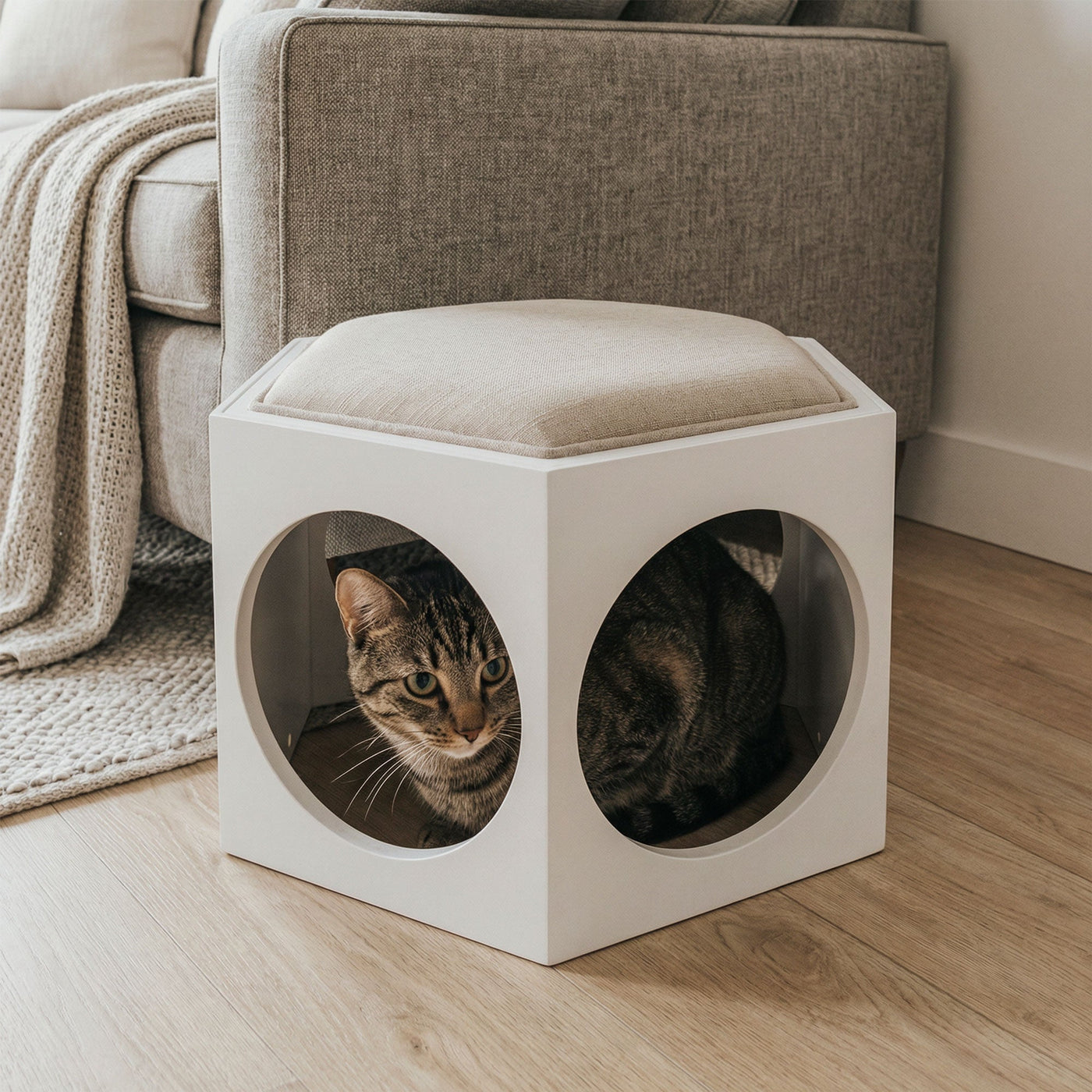 Suki Cat House Stool by 4Cats & Dogs, view 10